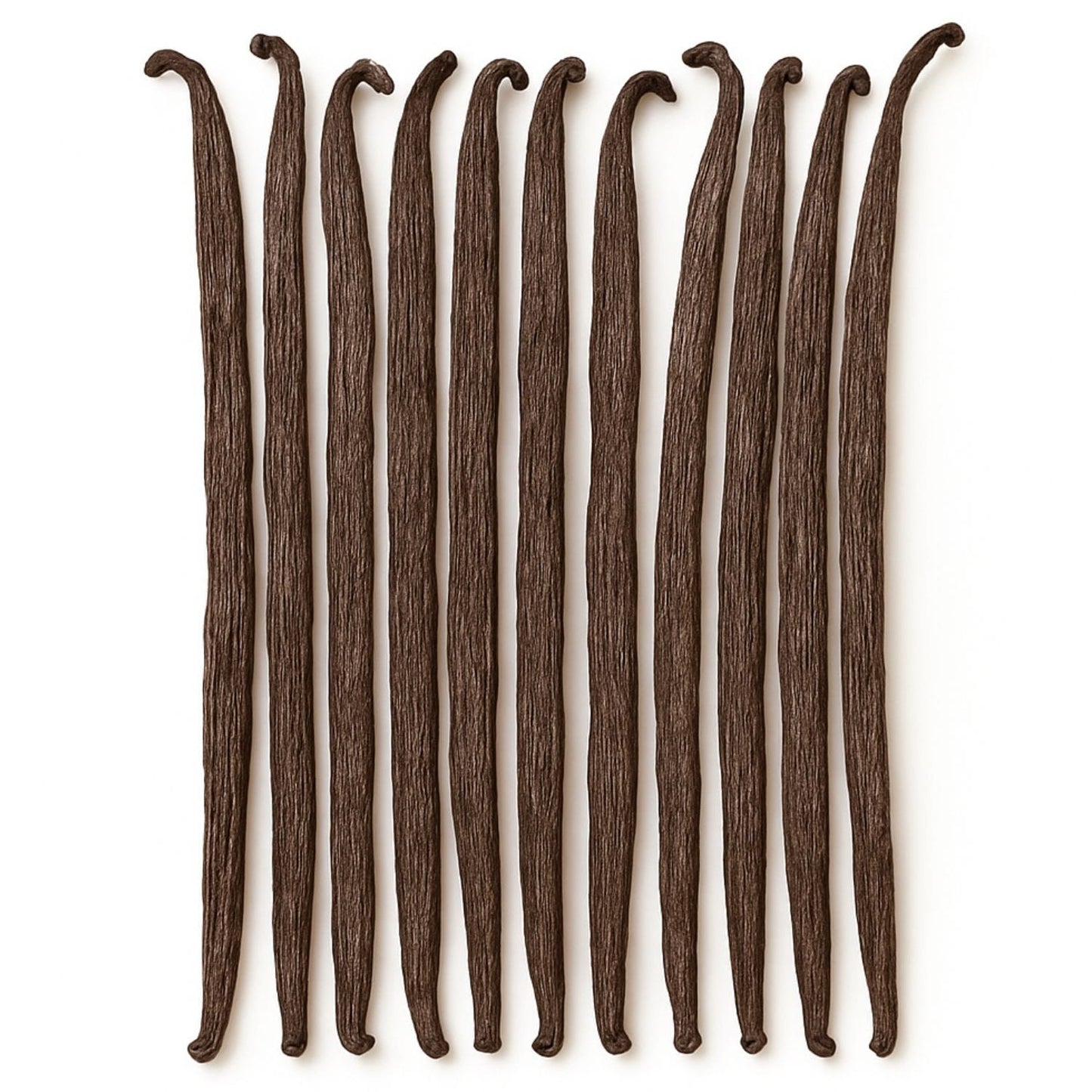 Wanilia laska 14-16 cm 1 szt. Wanilia Bourbon Madagaskar jakość pakowane próżniowo