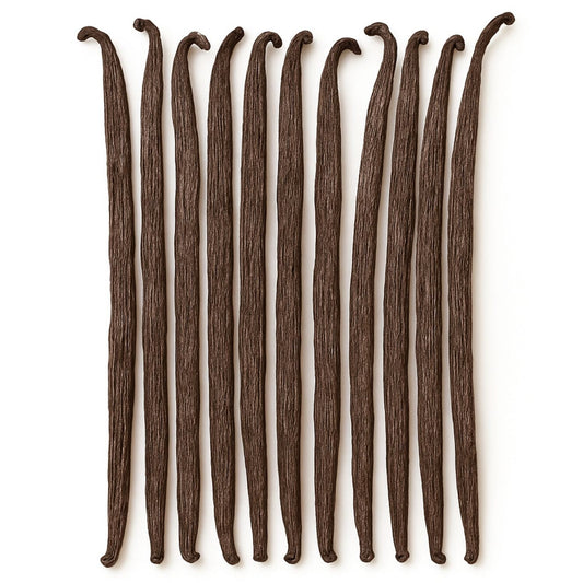 Wanilia laska 14-16 cm 1 szt. Wanilia Bourbon Madagaskar jakość pakowane próżniowo